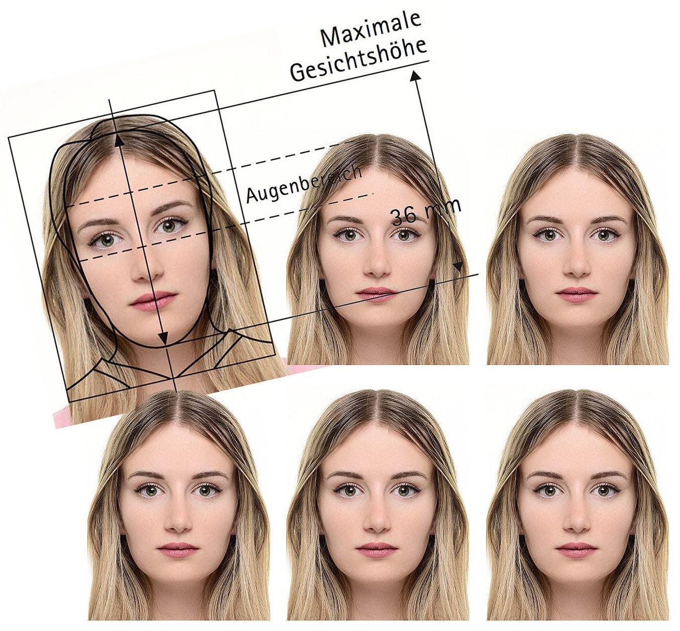 biometrische Passbilder München im heidi-fotostudio